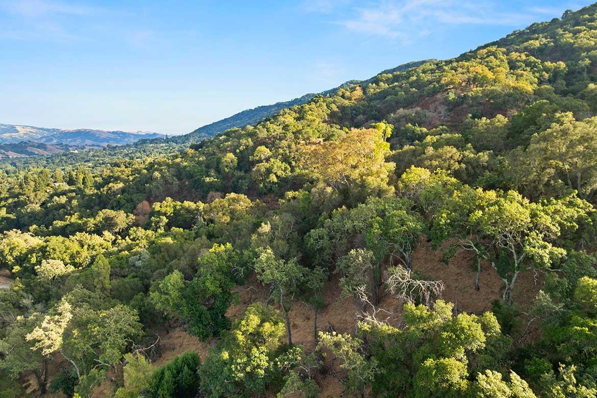 Pleasanton hills
